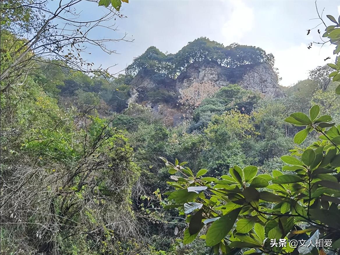 1950年匪首用小妾诱惑县领导做内奸里应外合，攻下县城，残害干部