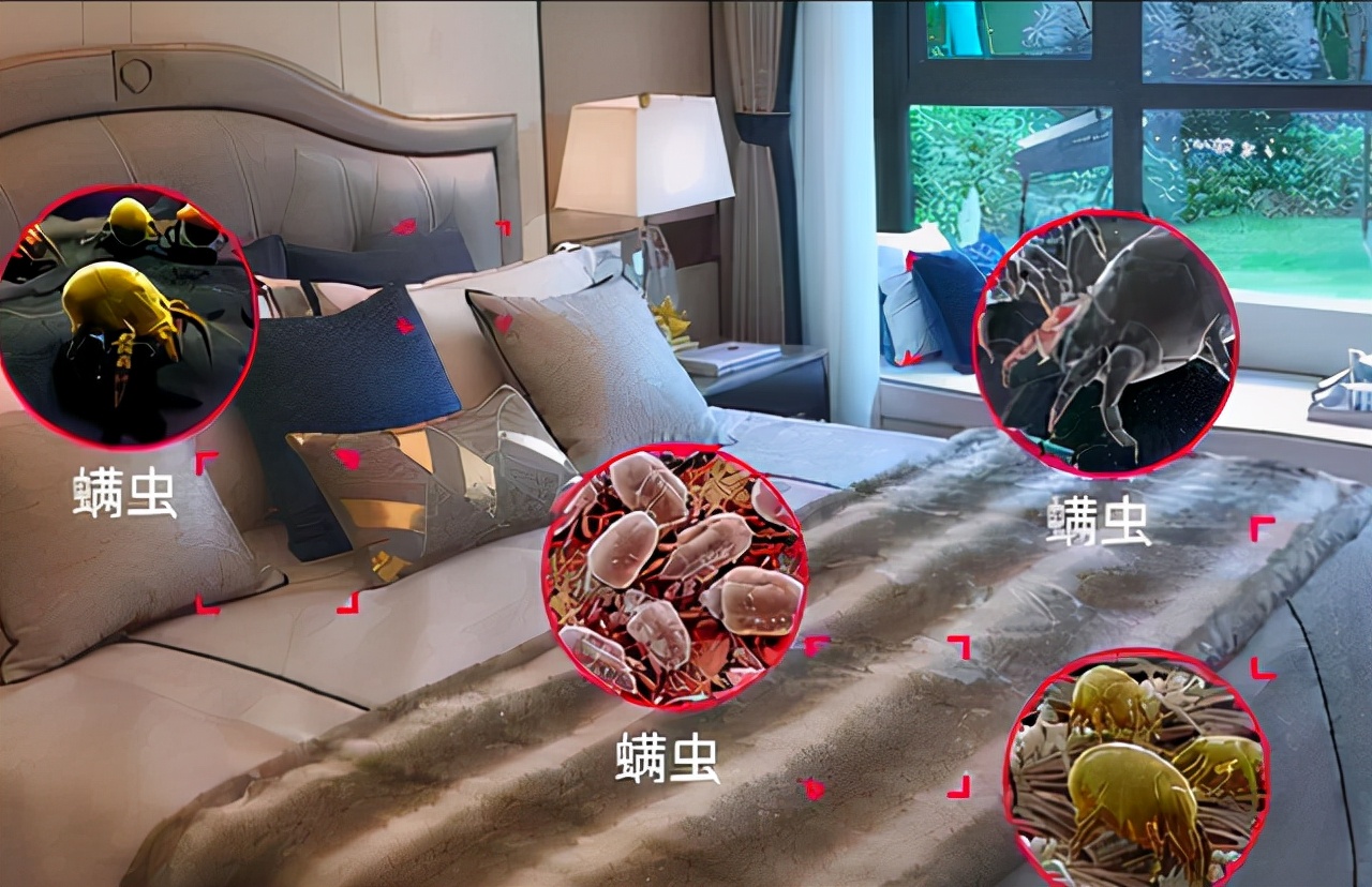 被子有霉味了怎么处理小妙招,被子异味怎么除