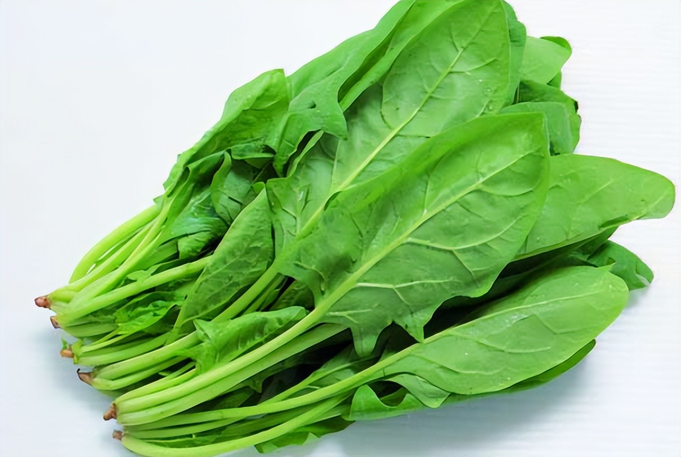 老人补铁补血的蔬菜,老年人缺铁贫血吃什么食物