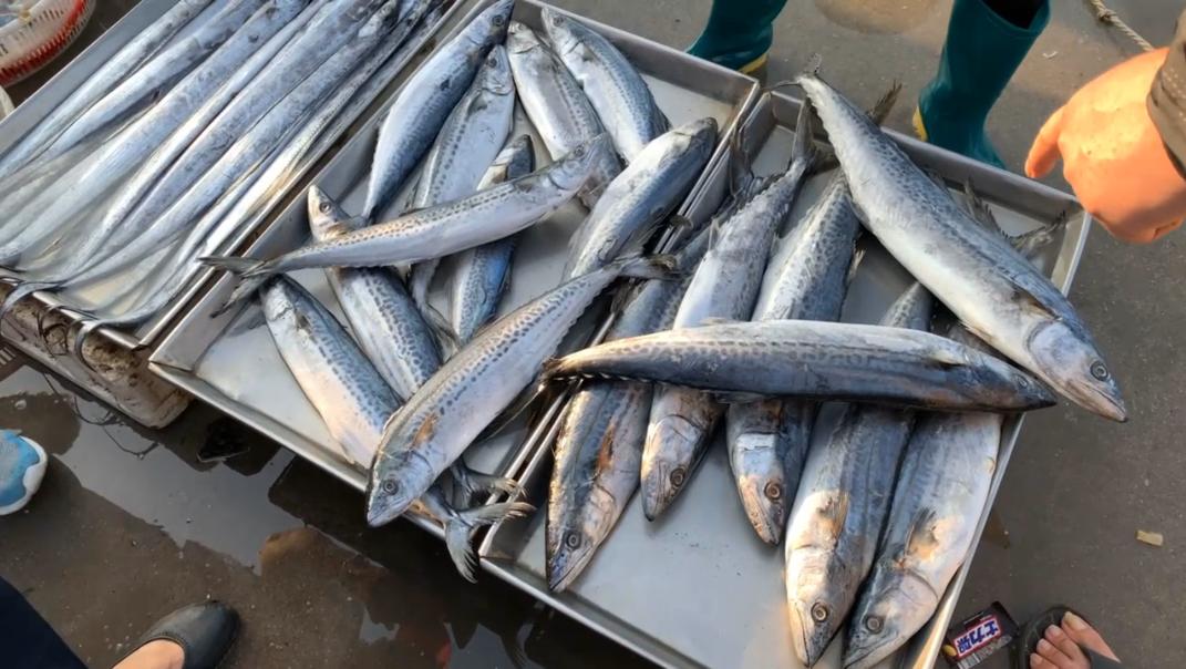 我国公认最好吃的5种鱼,十种最好吃的鱼有哪些