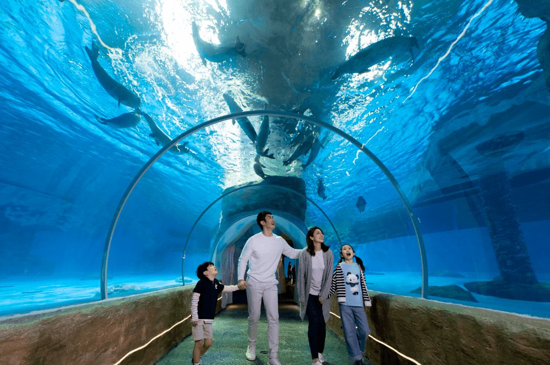 香港西贡有什么旅游景点,香港太平山顶一日游景点攻略