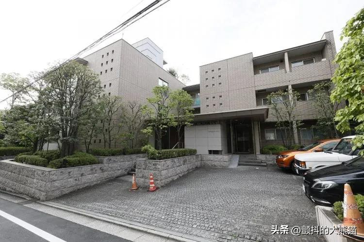 安倍昭惠会继承安倍遗产吗,安倍晋三有财产和子女吗