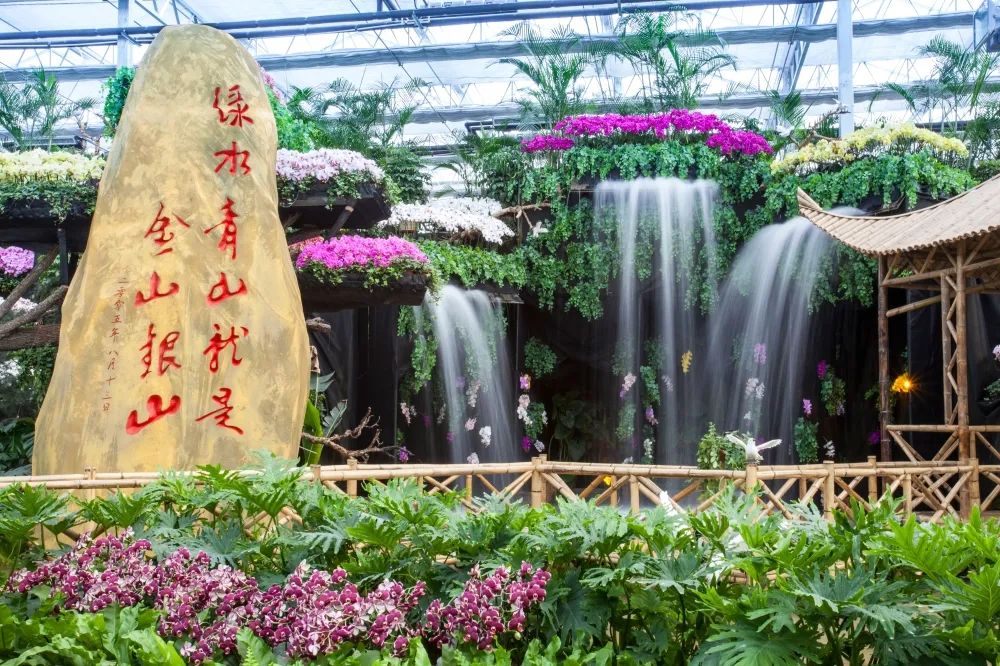 临沂10家景区将免门票,临沂拥军卡景区免费吗