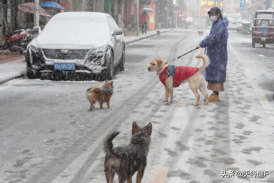 汽车投稿作品欣赏,汽车征文获奖