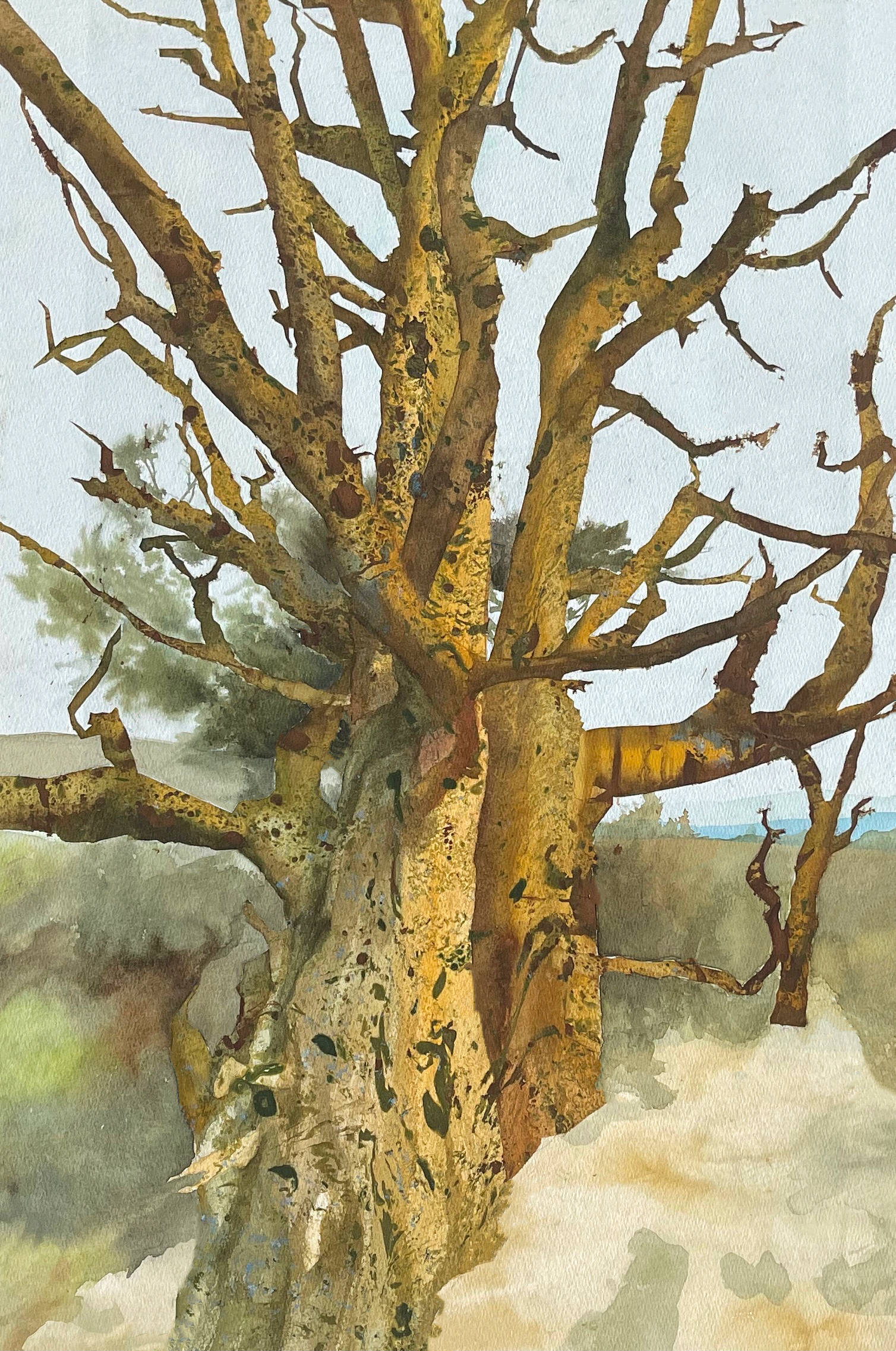 第四届国际新当代艺术展,第四届国际艺术交流展