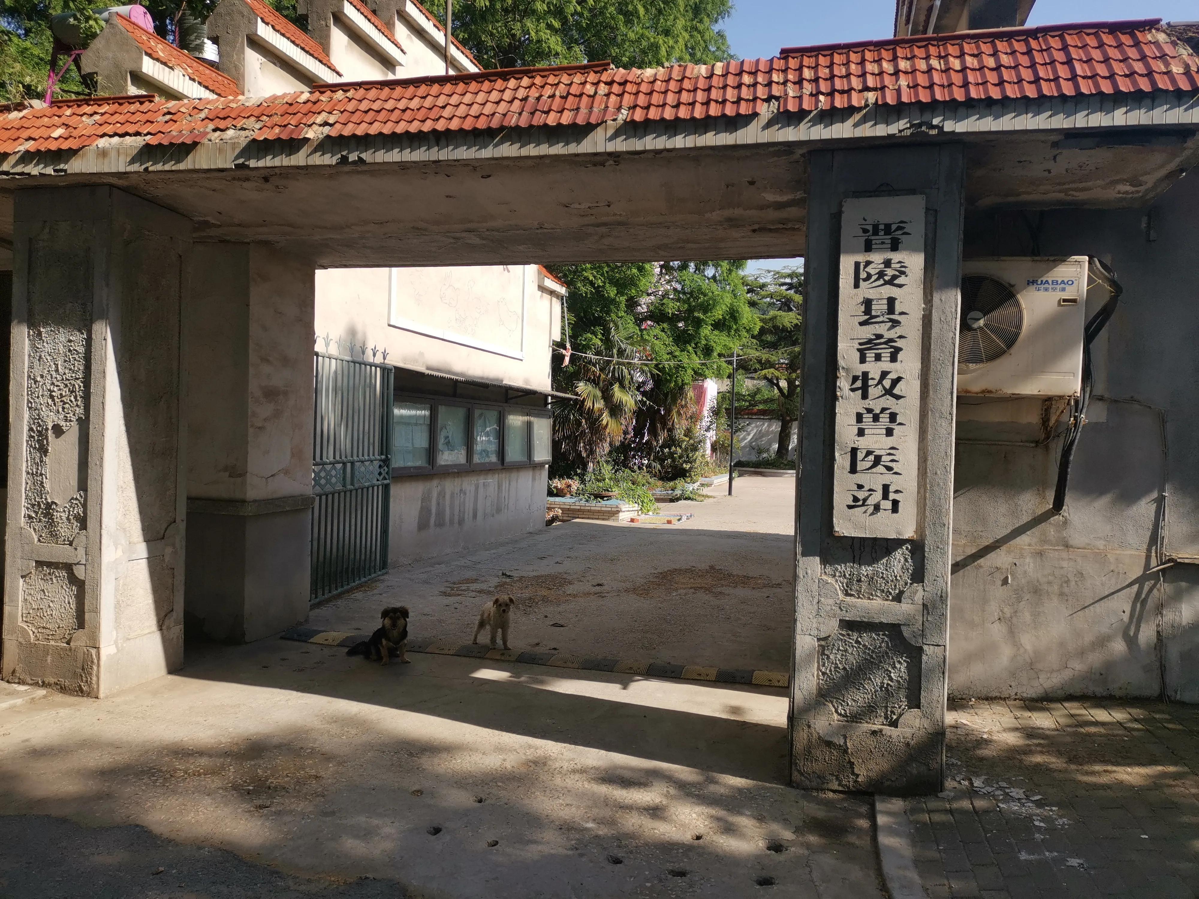 冶山矿时光凝固，冶山镇半身僵直—*合六**、天长冶山镇乱走（中）