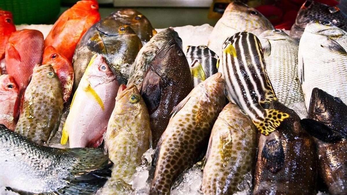 蔡英文喊话“吃石斑,挺台湾”!激起岛内民愤,滞销凤梨吃完了吗