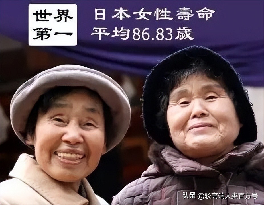 日本老人为什么故意进监狱,日本老人如何坐牢