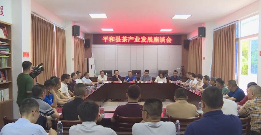 鑼跺彾涓撳鐜板満璁茶В鍥剧墖,鑼跺彾鎺㈣