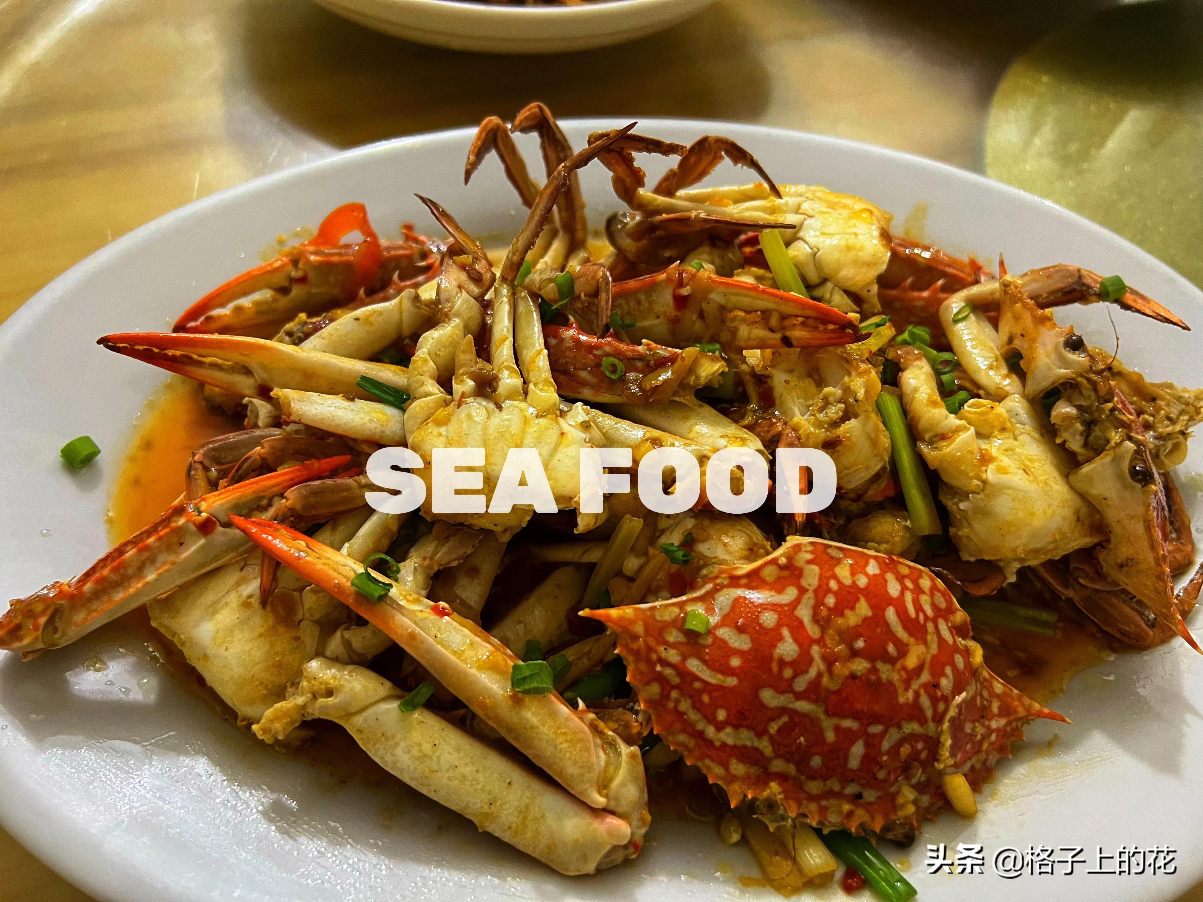 惠州有哪些小渔村好玩,惠州渔村