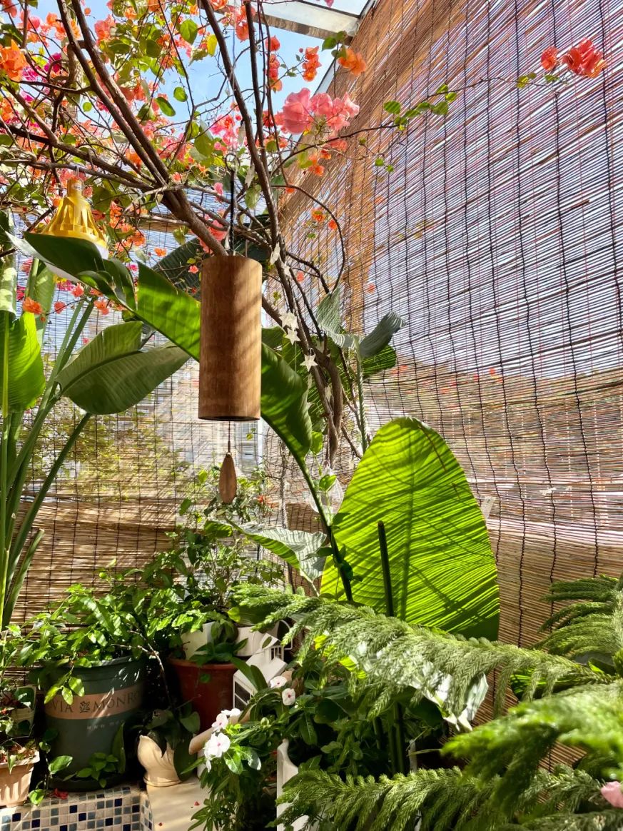 很多人羡慕的阳台,让别人羡慕的阳台