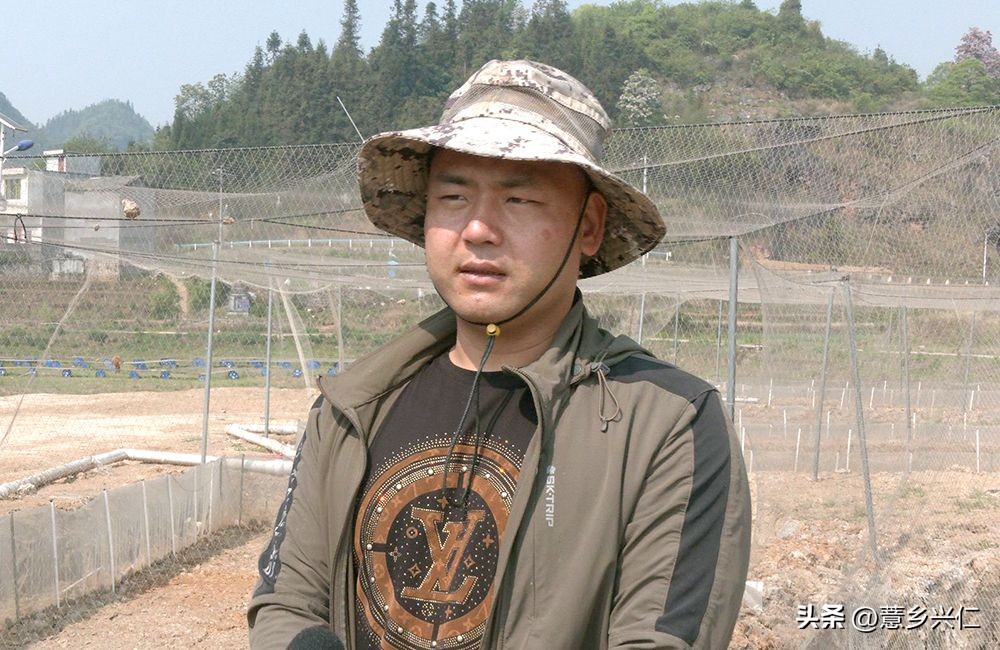 扶贫产业牛蛙养殖基地,牛蛙养殖扶贫项目