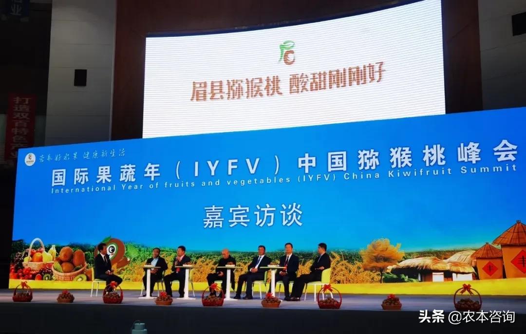 眉县猕猴桃走向全国,眉县猕猴桃产品介绍详情