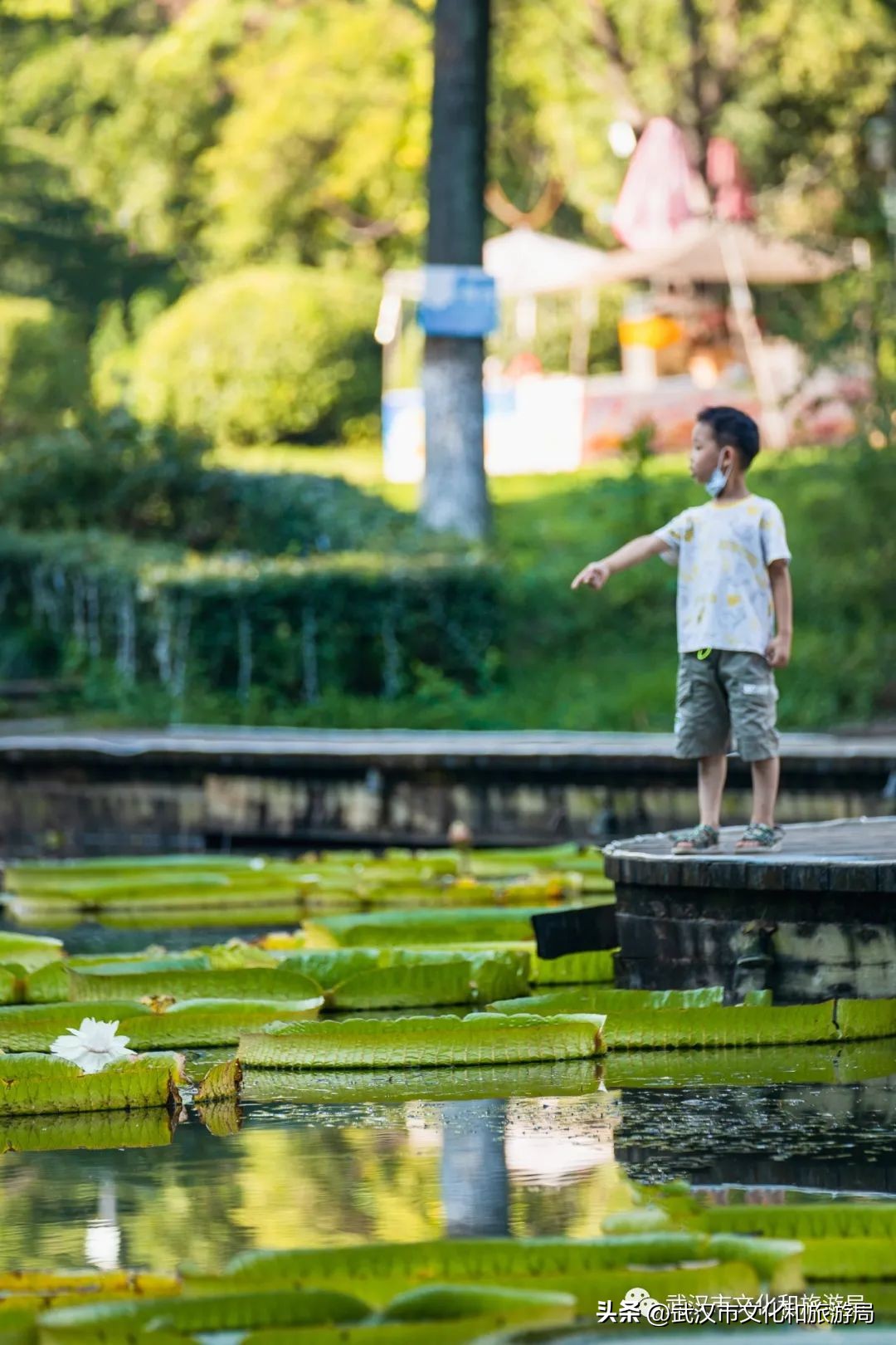 端午武汉好去处,端午看旅行全集