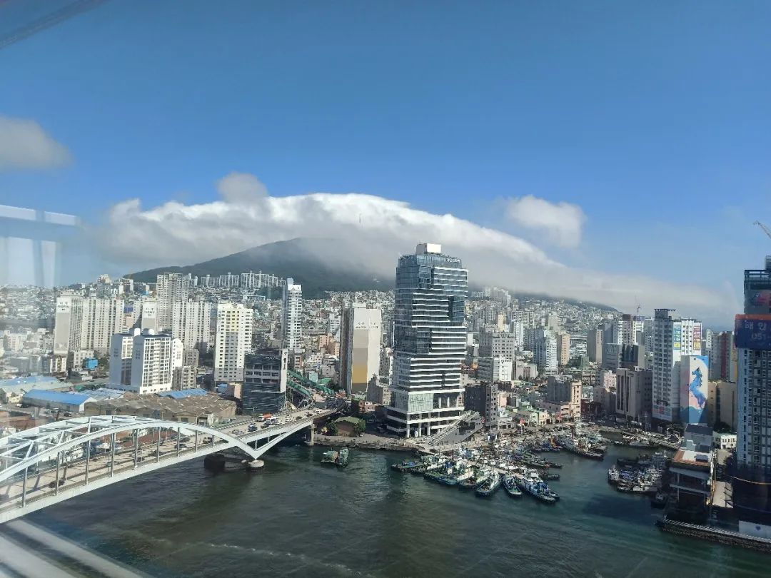 90后江江在韩国：海浪跫音，路在自己脚下