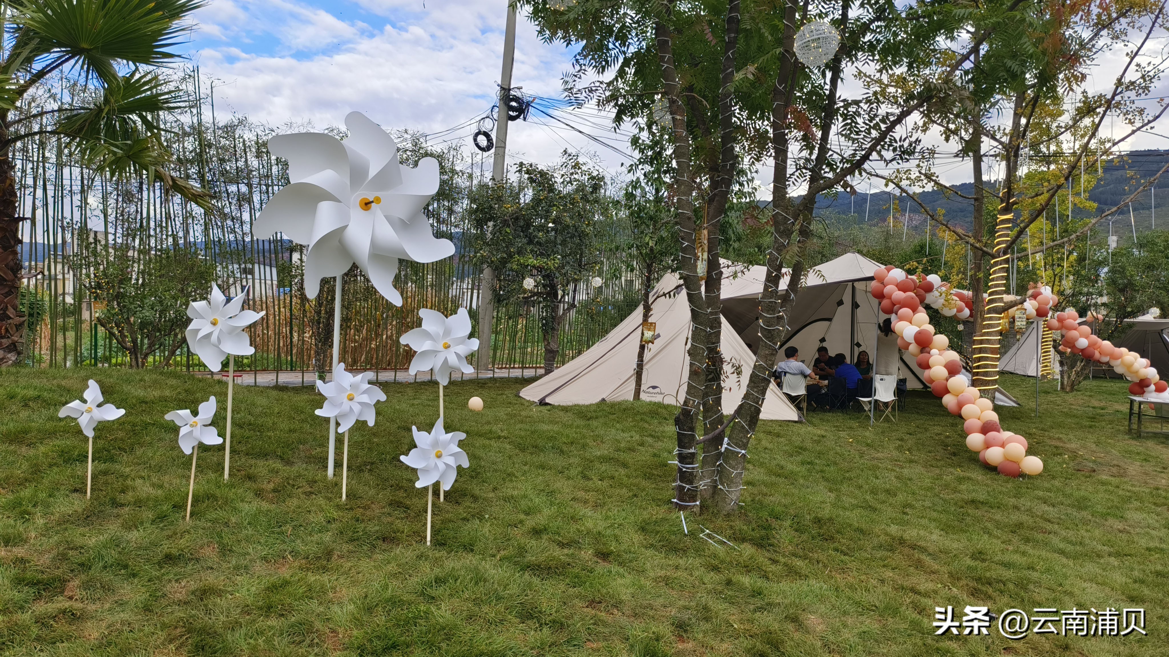 榫欏簞鑽夊湴濠氱ぜ,榫欏簞鑽夊潽濠氱ぜ