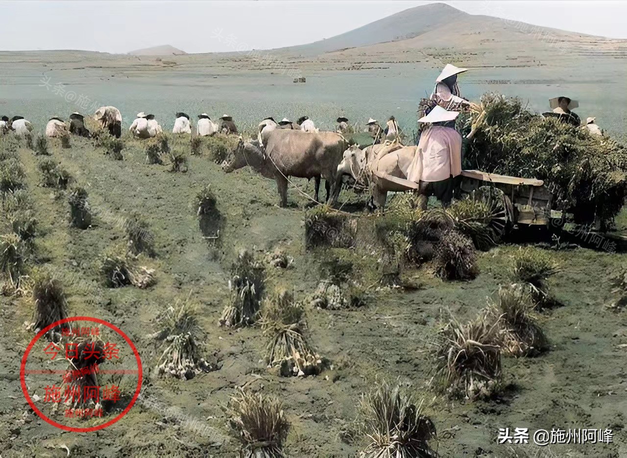 农民推独轮车买肥料,农村80年代农具照片真实照片