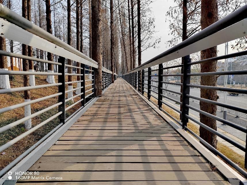 荣耀80全系列购买哪款比较好,荣耀80全系列值得买哪款