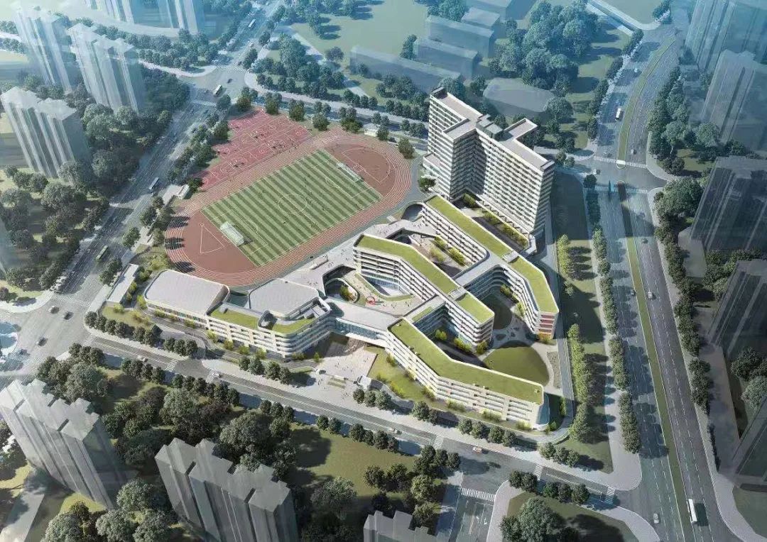 厦门新建的学校,厦门一共有多少学校