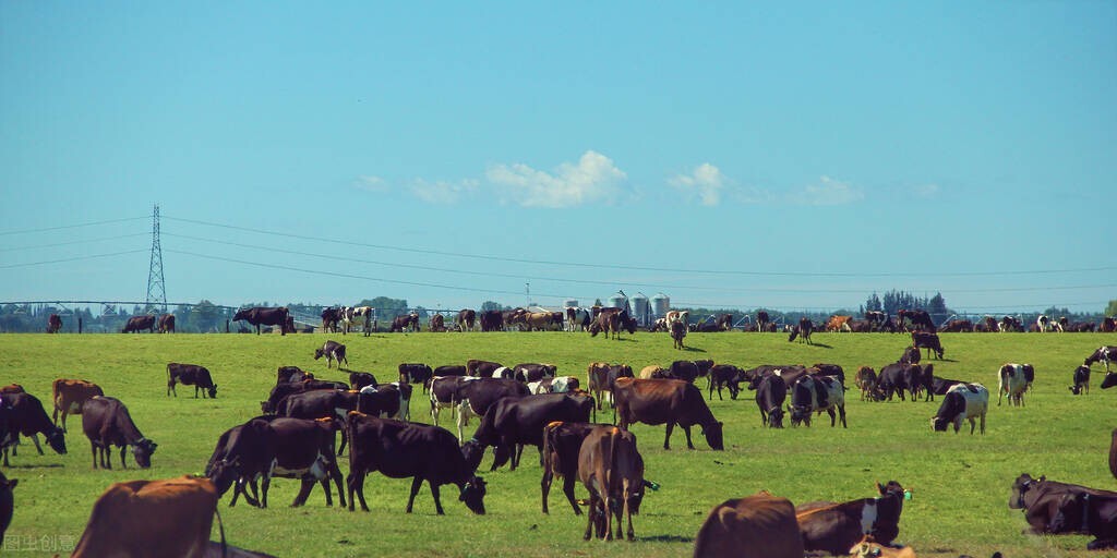 全球第一大农业出口国,全球十大出口国