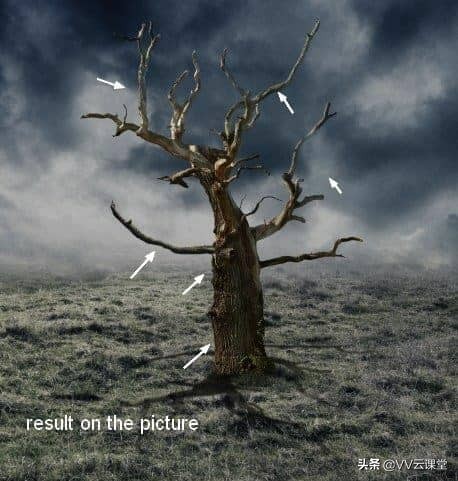 在Photoshop中创建带有月亮的树的超现实图稿，VV云课堂教程