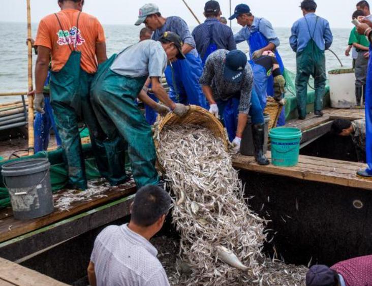 16年，老板骗打渔工进玉米地，倒扣他150元工资，最后员工被判刑