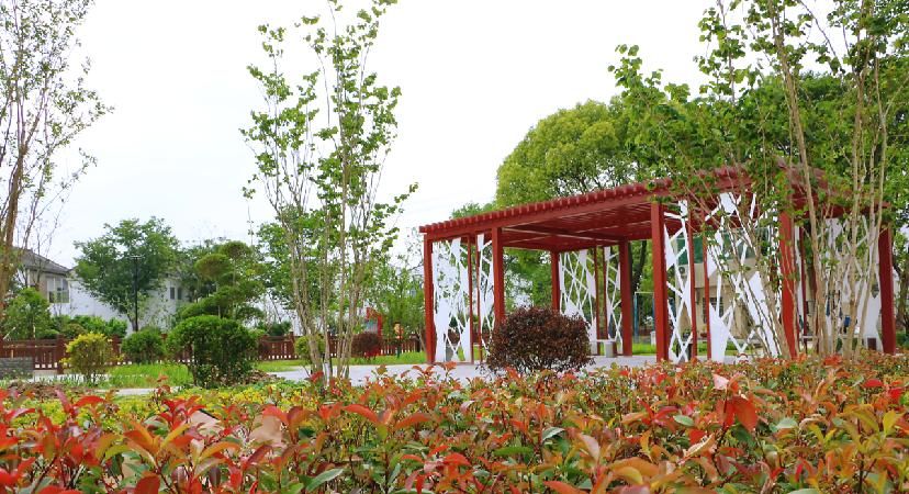 江苏省特色田园乡村名单公布,省级特色田园乡村标准