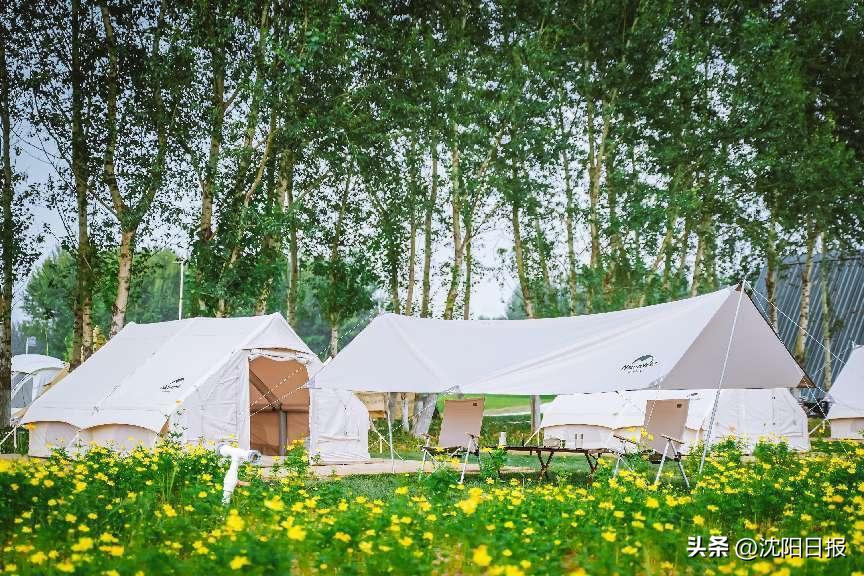 有山有水适合露营的地方沈阳,沈水之阳我心向往节目单