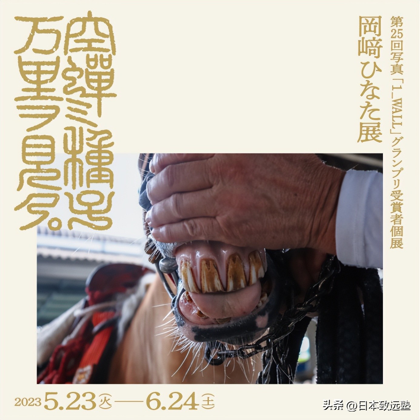 Artevents|东京6月展览活动资讯