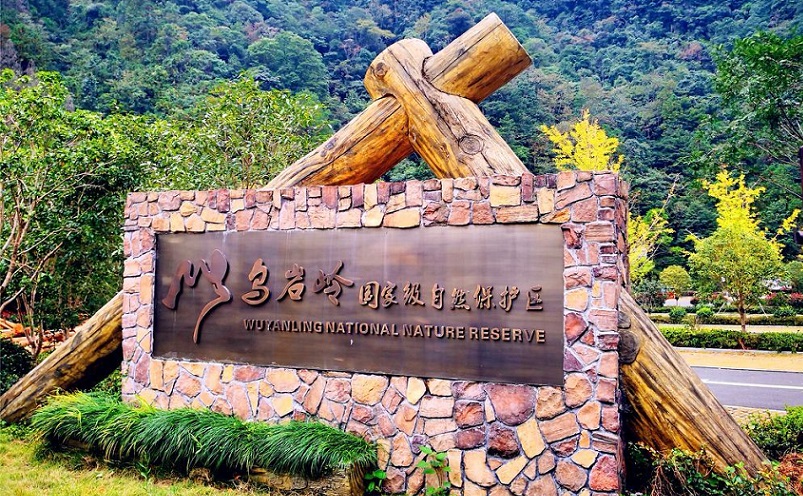 温州必玩的20个景点,温州旅游必去十大景点在哪里