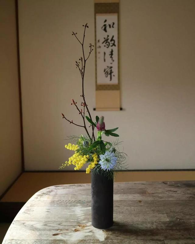 不会插花的句子,不会插花怎么办