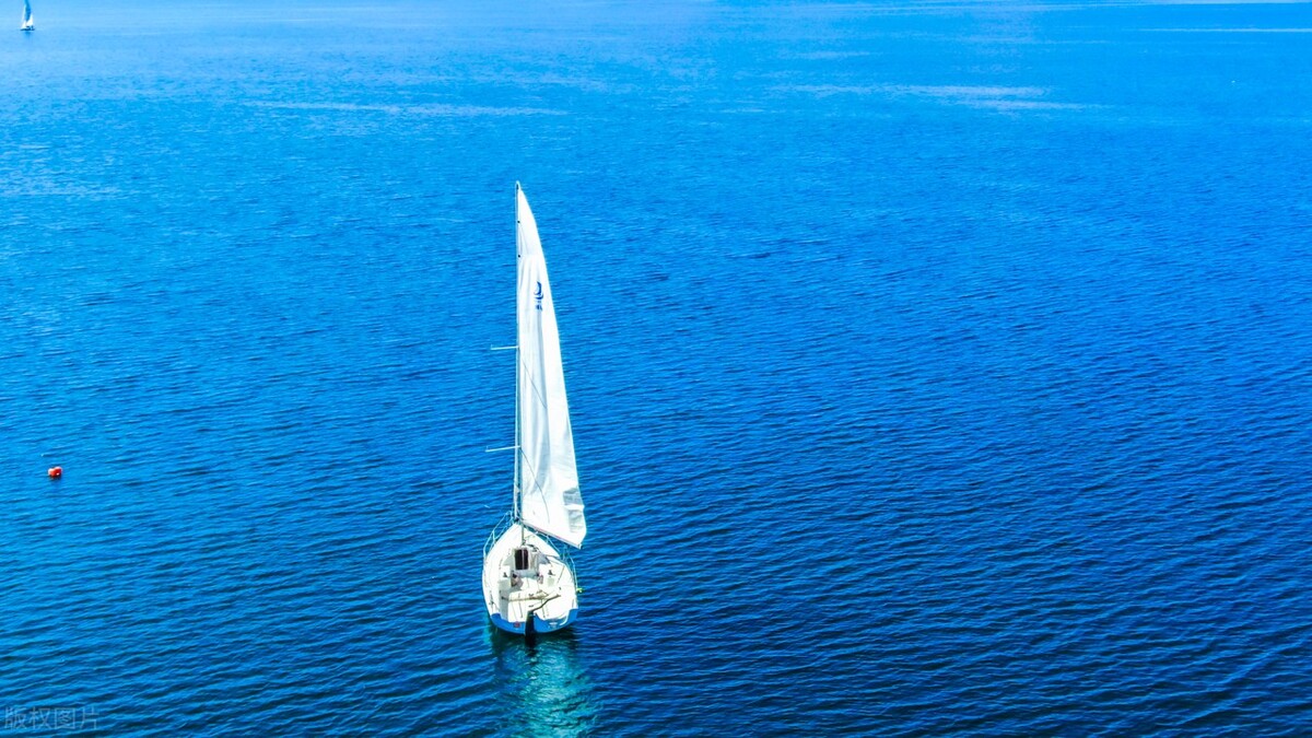 抖音创业文案吸引人的句子热门,抖音新年祝福文案吸引人的句子