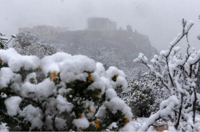 为什么海面结冰鱼不会被冻死,零下20度鱼被冻死