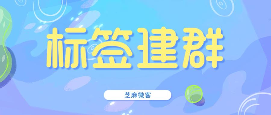微信怎么从标签里面建群,微信里面的标签建群怎么做