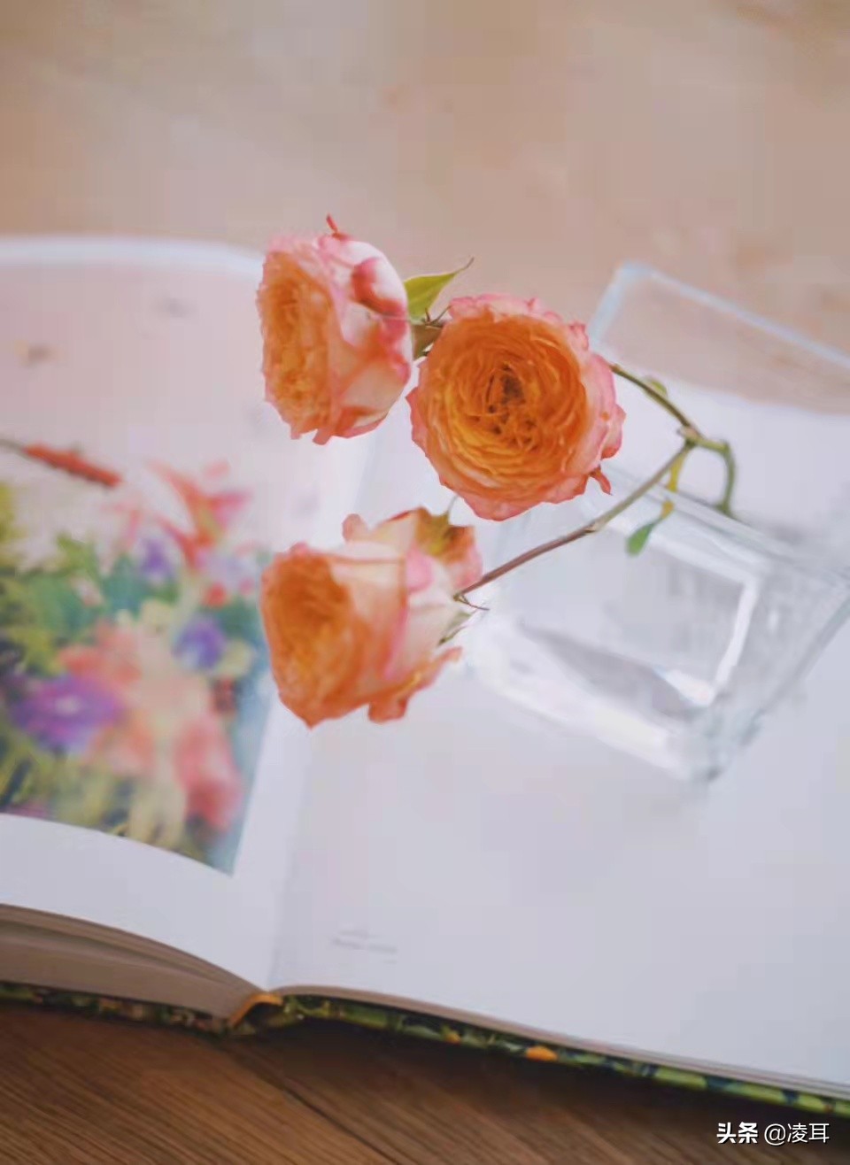 学习这套九宫格写作法,九宫格写作法教程