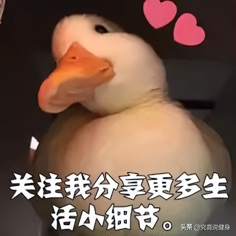 健身龙的训练方法,健身滑板垫的训练方法