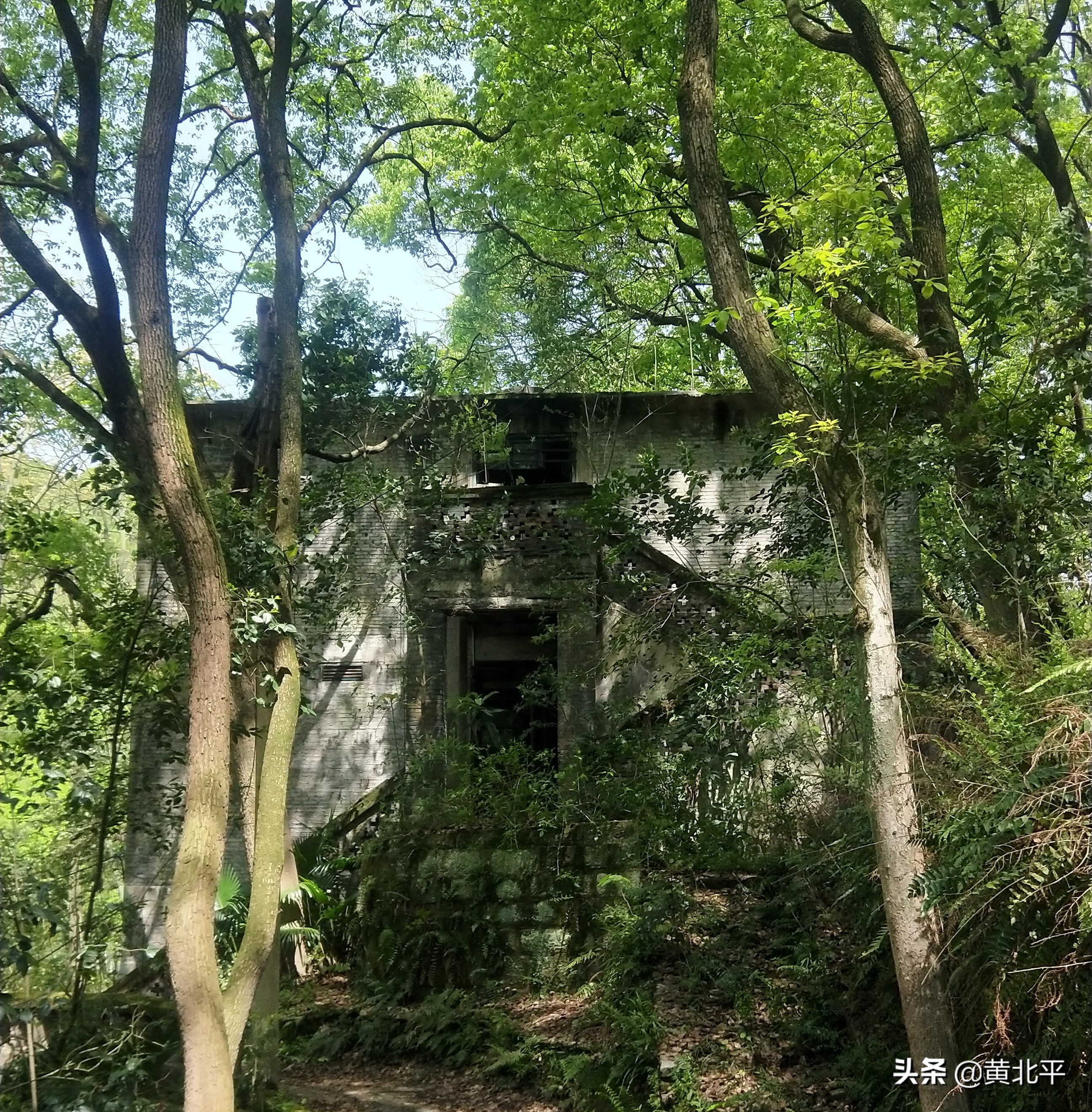 北碚刘家沟煤矿,天府矿务局刘家沟煤矿历史