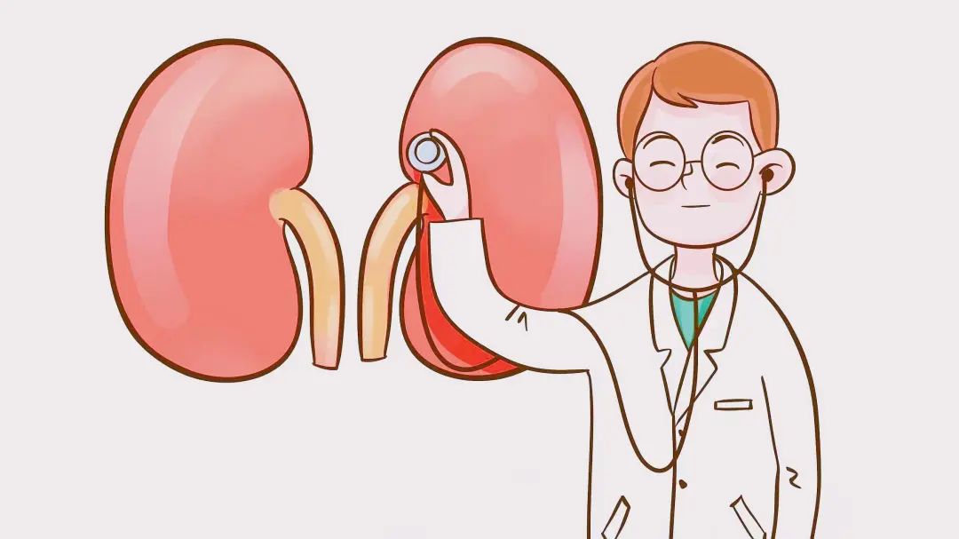 肾移植术后规律复诊的检查项目,肾移植术后随访表