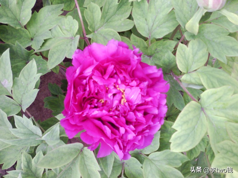 1993年最火歌曲50首完整版,1992年到1995年最火的歌