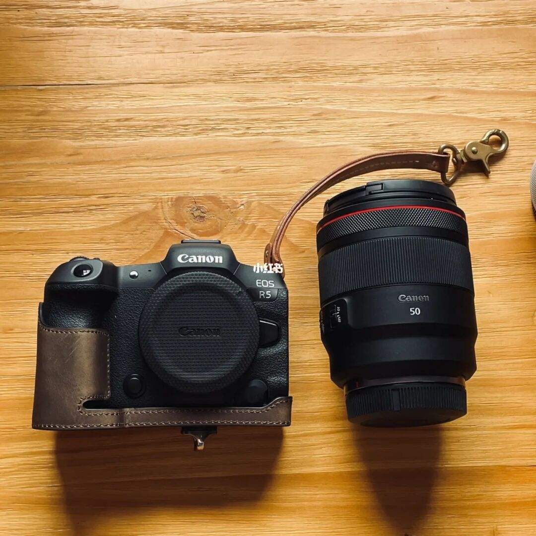 怎么一眼区分佳能相机和索尼,尼康佳能索尼三家微单画质