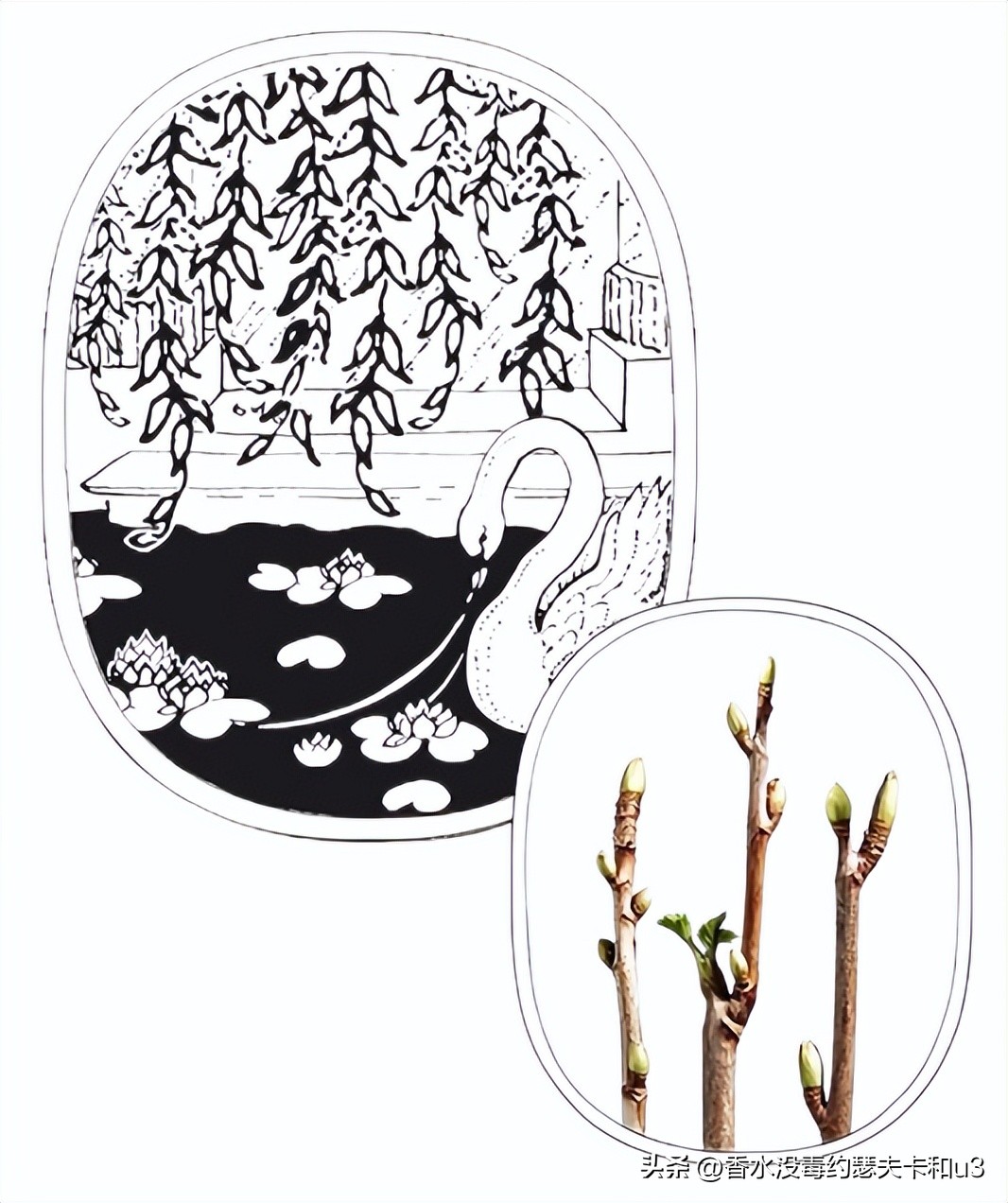 十大网红香水值得入手吗,今年网红香水