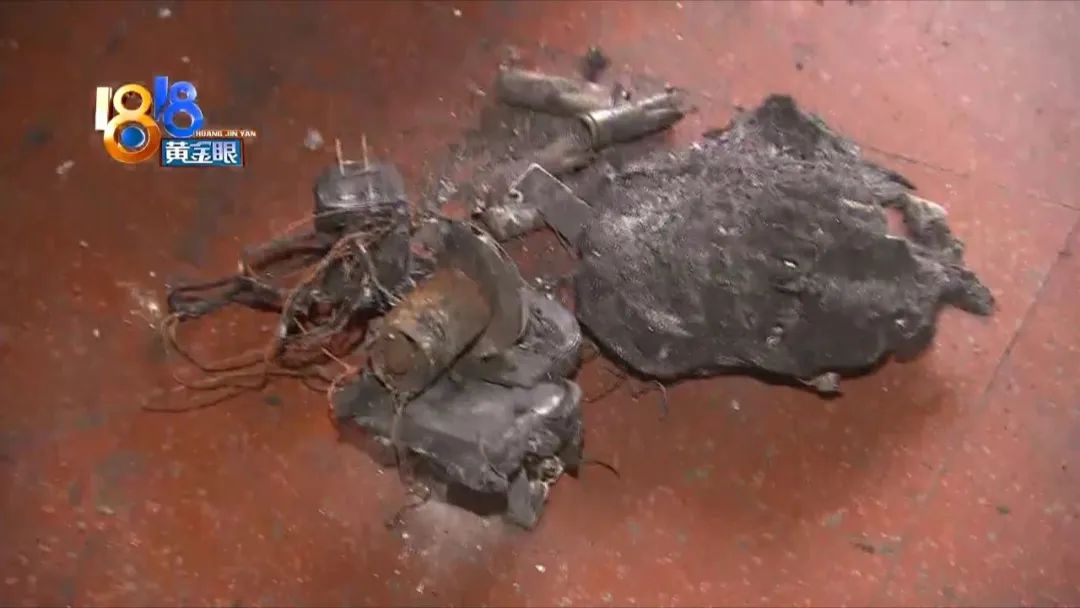 发生火灾小狗死亡,客厅着火原视频