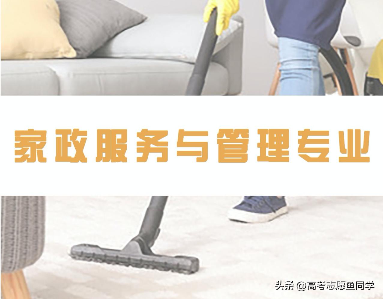 专科女生适合专业15个,适合女孩子专科十大吃香专业