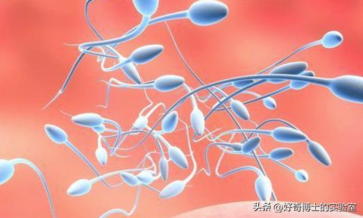 为了延长时间，同房时忍着不射有用吗？对身体会造成哪些影响？