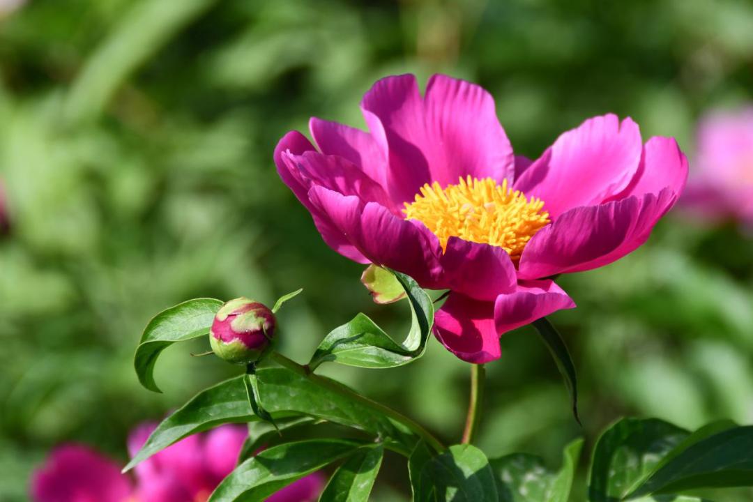 许昌人周末游玩,许昌人去哪景区免门票