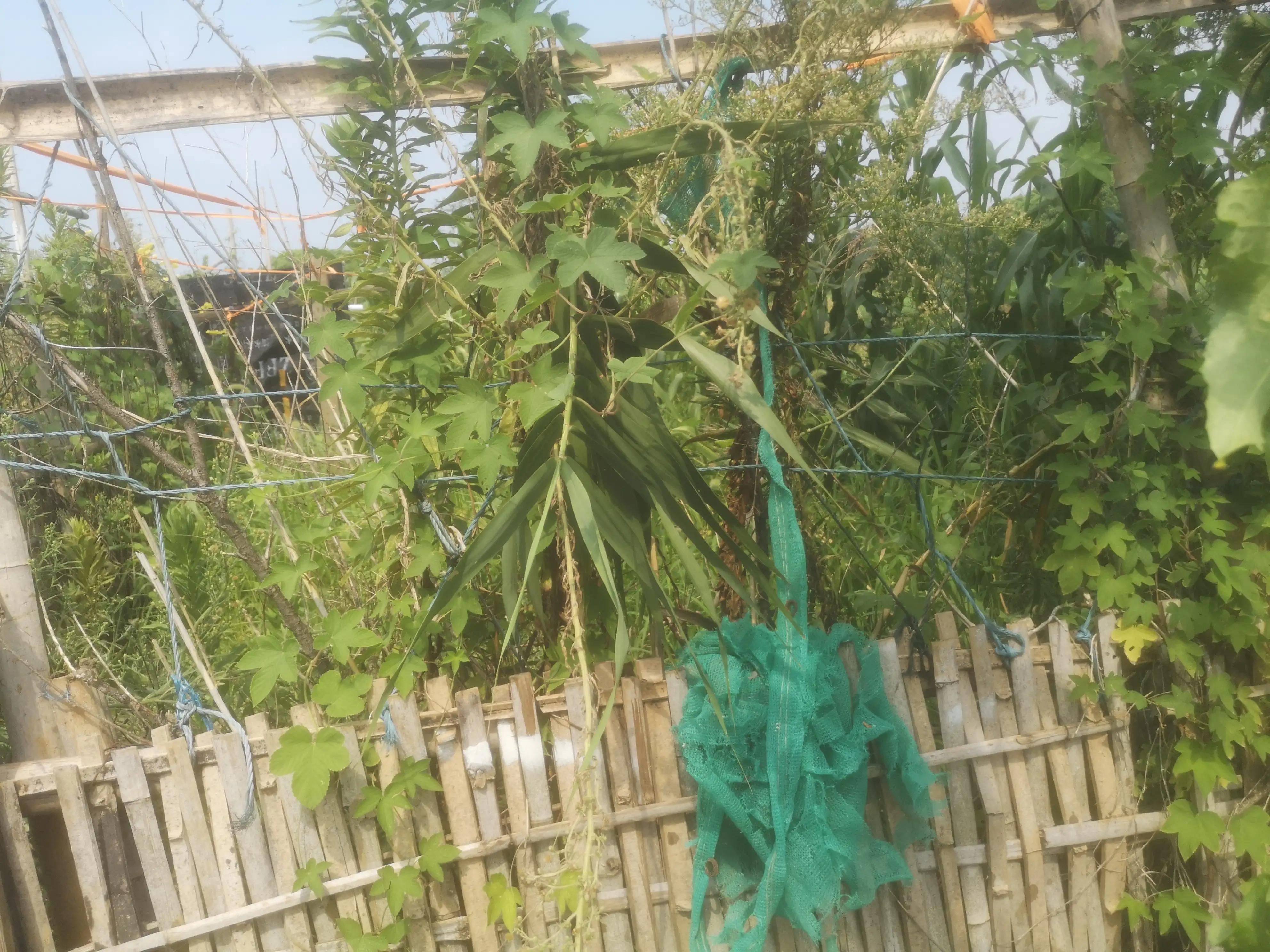 我亲身经历的一件事五年级400字,我亲身经历的一件事300字