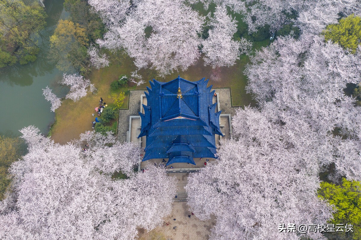 苏州古典园林作为中国园林之母,中国古典园林赏析以苏州园林为例