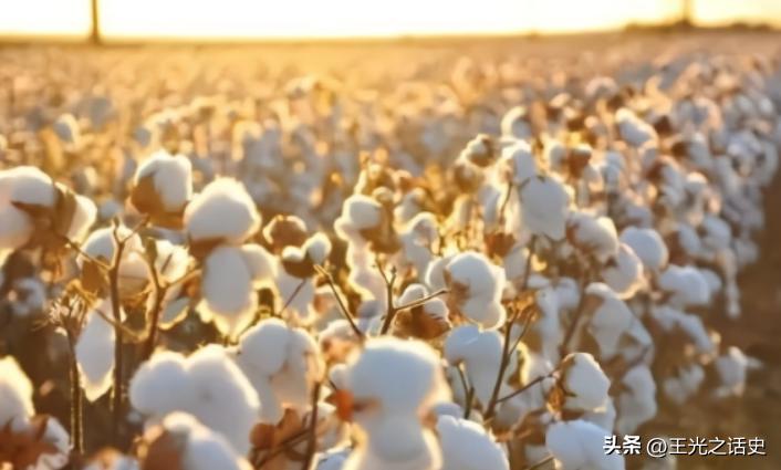 中亚五个斯坦国家人口,中亚地区东南部人口多的原因