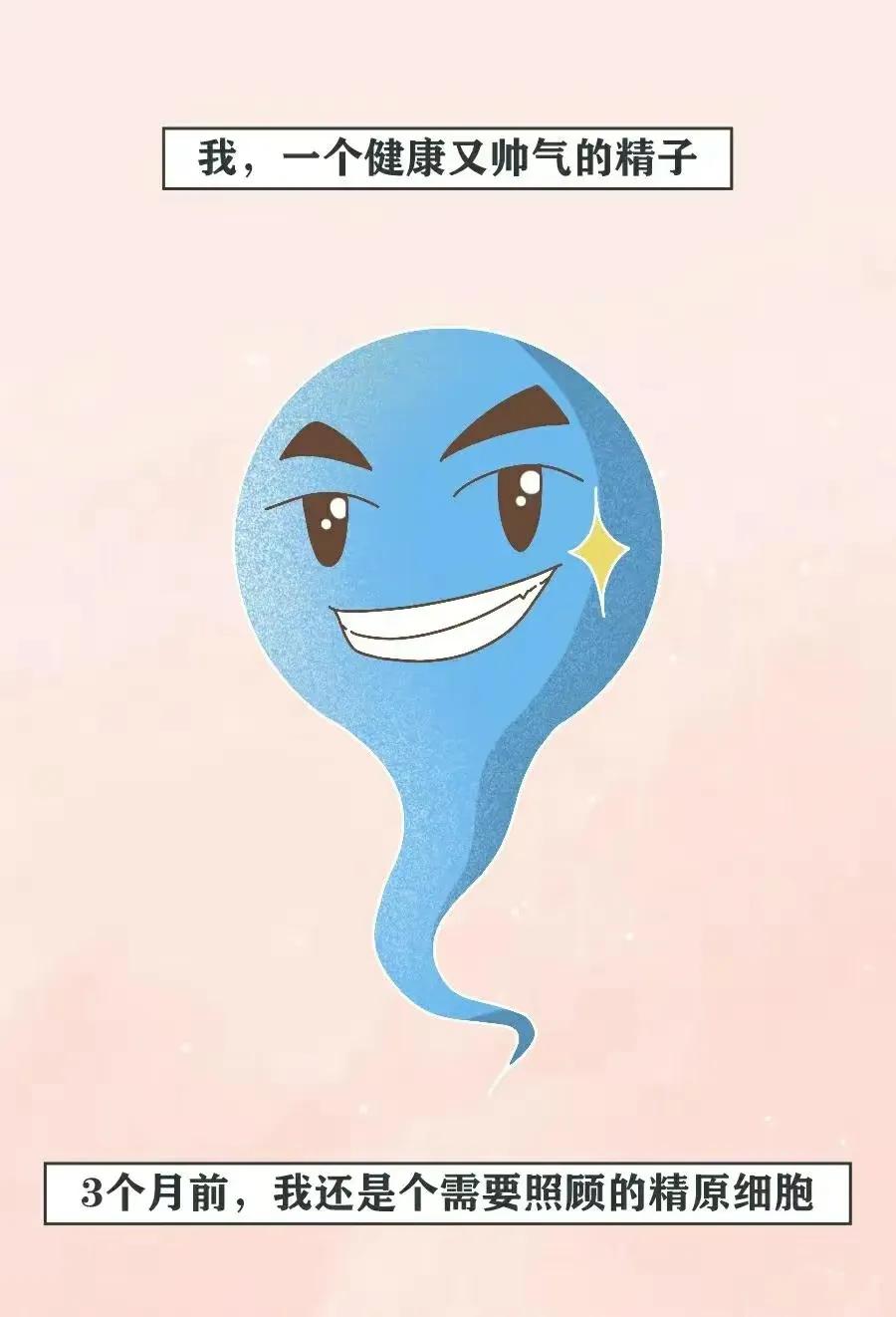 精子是怎么进入对方体内的，真是历经九九八十一难！