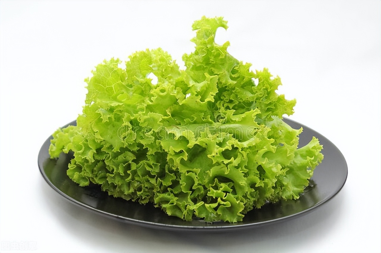 6个简单的步骤教从种子开始种植非常可口的生菜，零失败种植